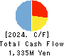 AI inside Inc. Cash Flow Statement 2024年3月期