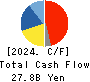 Dexerials Corporation Cash Flow Statement 2024年3月期