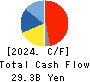 Dexerials Corporation Cash Flow Statement 2024年3月期