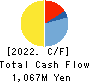 Serverworks Co.,Ltd. Cash Flow Statement 2022年2月期