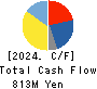 Datasection Inc. Cash Flow Statement 2024年3月期