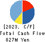 ibis inc. Cash Flow Statement 2023年12月期
