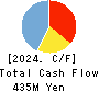Aidemy Inc. Cash Flow Statement 2024年5月期