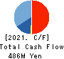 Interworks Confidence Inc. Cash Flow Statement 2021年3月期