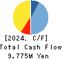 DAIDOH LIMITED Cash Flow Statement 2024年Mar期 DAIDOH LIMITED Cash Flow Statement 2024年3月期