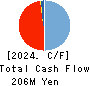 Cacco Inc. Cash Flow Statement 2024年Dec期 Cacco Inc. Cash Flow Statement 2024年12月期