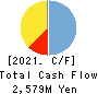 IWATSU ELECTRIC CO.,LTD. Cash Flow Statement 2021年3月期
