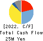 YCP Holdings Cash Flow Statement 2022年12月期