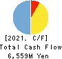 MITSUMURA PRINTING CO.,LTD. Cash Flow Statement 2021年3月期