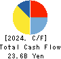 NSD CO., LTD. Cash Flow Statement 2024年Mar期 NSD CO., LTD. Cash Flow Statement 2024年3月期
