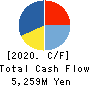 TEKKEN CORPORATION Cash Flow Statement 2020年3月期