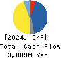 TOKYO ELECTRON DEVICE LIMITED Cash Flow Statement 2024年3月期