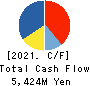 TEKKEN CORPORATION Cash Flow Statement 2021年3月期
