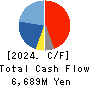 Sintokogio,Ltd. Cash Flow Statement 2024年3月期