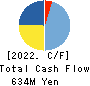 DAISHIN CHEMICAL CO.,LTD. Cash Flow Statement 2022年3月期