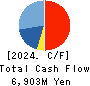 ANYCOLOR Inc. Cash Flow Statement 2024年4月期