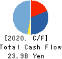 Noritsu Koki Co.,Ltd. Cash Flow Statement 2020年3月期