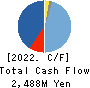 DAIDOH LIMITED Cash Flow Statement 2022年3月期