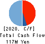 EYEZ,INC. Cash Flow Statement 2020年12月期