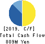CAPITA Inc. Cash Flow Statement 2019年3月期