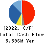 TEKKEN CORPORATION Cash Flow Statement 2022年3月期