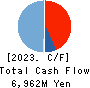 NETSTARS Co.,Ltd. Cash Flow Statement 2023年12月期