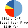 EYEZ,INC. Cash Flow Statement 2023年12月期