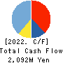 Cybertrust Japan Co., Ltd. Cash Flow Statement 2022年3月期