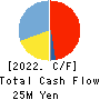 AVILEN Inc. Cash Flow Statement 2022年12月期