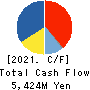 TEKKEN CORPORATION Cash Flow Statement 2021年Mar期 TEKKEN CORPORATION Cash Flow Statement 2021年3月期