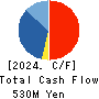 NF HOLDINGS CORPORATION Cash Flow Statement 2024年Mar期 NF HOLDINGS CORPORATION Cash Flow Statement 2024年3月期
