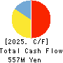 Soiken Holdings Inc. Cash Flow Statement 2025年Jun期 Soiken Holdings Inc. Cash Flow Statement 2025年6月期