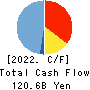 FIDEA Holdings Co. Ltd. Cash Flow Statement 2022年3月期