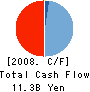 Shinki Co.,Ltd. Cash Flow Statement 2008年3月期