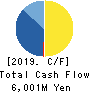 CVS Bay Area Inc. Cash Flow Statement 2019年2月期