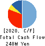 Netyear Group Corporation Cash Flow Statement 2020年3月期