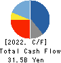 Open House Group Co., Ltd. Cash Flow Statement 2022年9月期