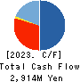 Star Mica Holdings Co.,Ltd. Cash Flow Statement 2023年11月期