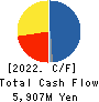 ALCONIX CORPORATION Cash Flow Statement 2022年3月期