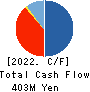 Ame Kaze Taiyo,Inc. Cash Flow Statement 2022年12月期