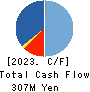 DREAM VISION CO.,LTD. Cash Flow Statement 2023年3月期