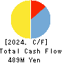 ALiNK Internet,INC. Cash Flow Statement 2024年2月期