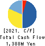 STG CO.,LTD. Cash Flow Statement 2021年3月期