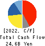 HAKUHODO DY HOLDINGS INCORPORATED Cash Flow Statement 2022年Mar期 HAKUHODO DY HOLDINGS INCORPORATED Cash Flow Statement 2022年3月期