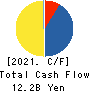 SAIBO Co.,Ltd. Cash Flow Statement 2021年3月期