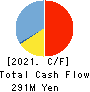 VALTES HOLDINGS CO.,LTD. Cash Flow Statement 2021年3月期