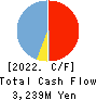 NETSTARS Co.,Ltd. Cash Flow Statement 2022年12月期