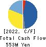 ESTELLE HOLDINGS CO., LTD. Cash Flow Statement 2022年3月期