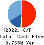 SHINNIHON CORPORATION Cash Flow Statement 2022年3月期