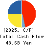 Dexerials Corporation Cash Flow Statement 2025年3月期